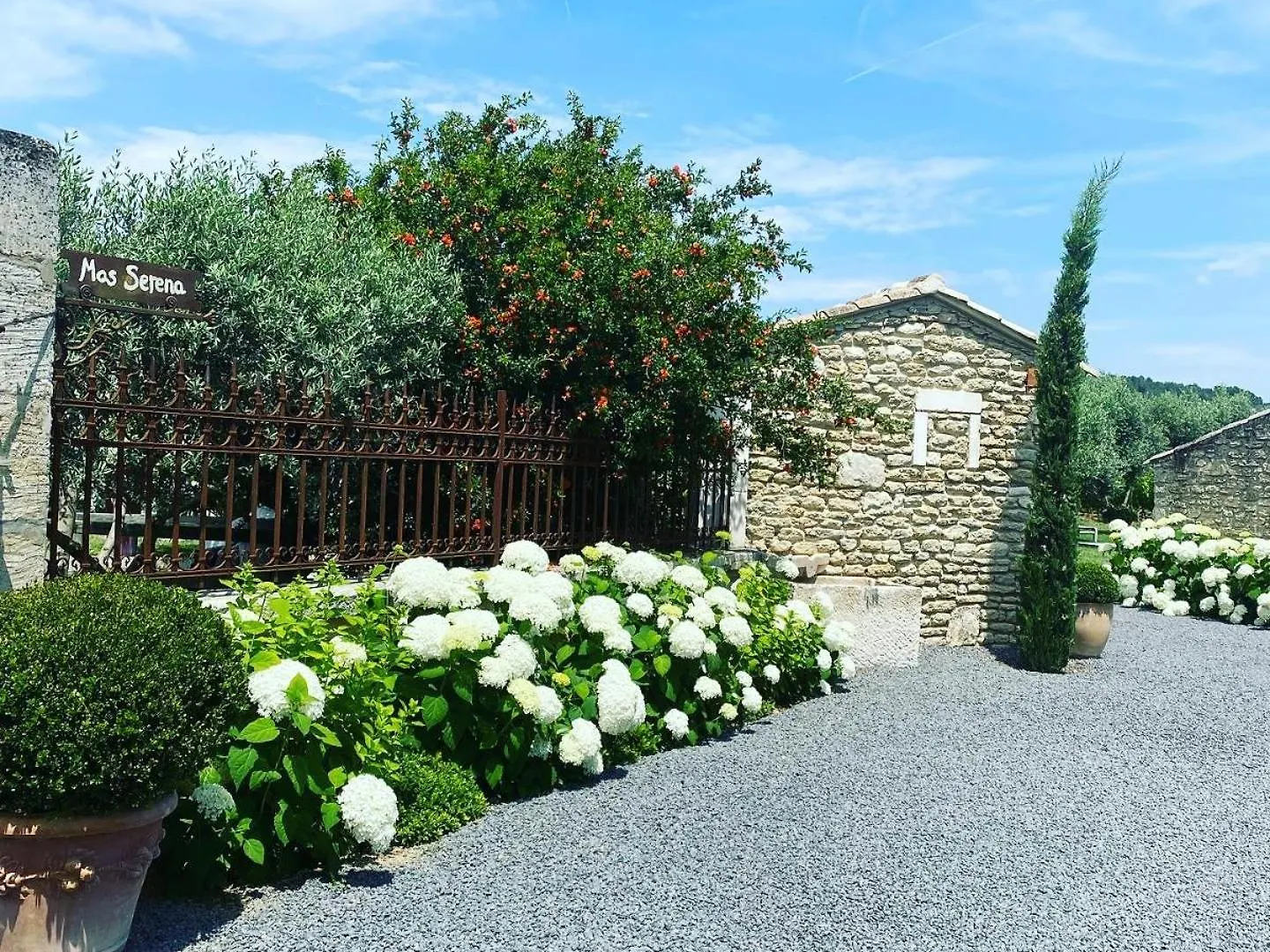 Mas Serena Ménerbes Gasthof